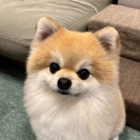 全然顔が違う！！