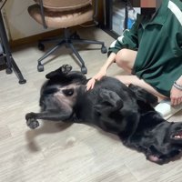甘えん坊全開に♪