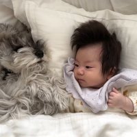 添い寝中のトトちゃん