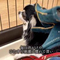 少しずつ、少しずつ