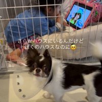 女の子に占拠された！？
