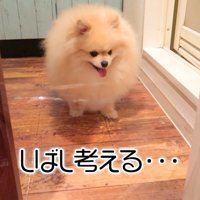 シンキングタイム