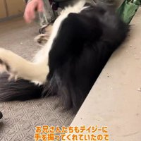 「やっとなでてくれた♡」