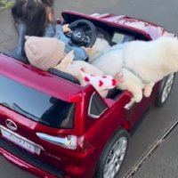 幸せな家族のひととき