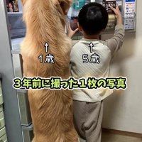 背伸びして冷蔵庫を物色♪