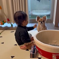 手を差し出す弟くん