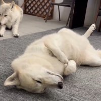 眠くなってきたナオちゃん