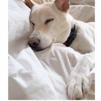 「生まれてきてくれてありがとう」