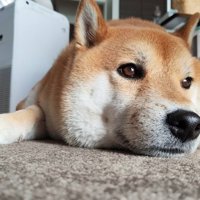 イケメン
