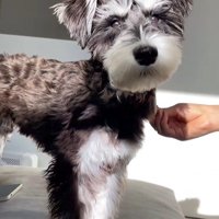 ボセくんの成長記録4