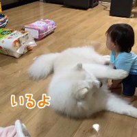 「ちゃんとここにいるよ」