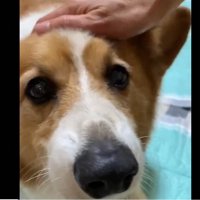 自信がなさそう