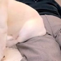 エルモくんとおばあちゃんの日常2