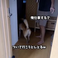 パパから離れたくないアキさん