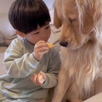 みかんをエルさんの口元へ