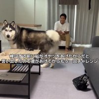 再検証するふたり