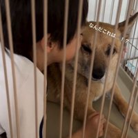 おふとん君と男の子4
