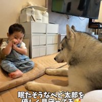 眠そうな赤ちゃんとスノウくん