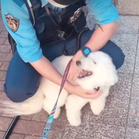 自分から近づいて…
