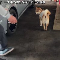 いたずら顔で煽ることも