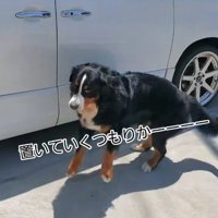 急にその場を離れていった