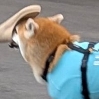 サンダル
