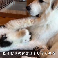 優しい表情にホッコリ…