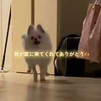 家族になってくれてありがとう