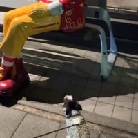 それは人じゃない！！