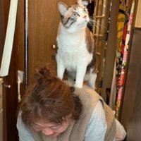 背中にアリィちゃんが！