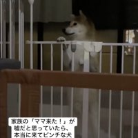 「告げ口しやがったなっ」