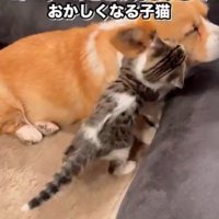 めげずにアピール♡