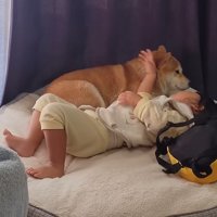 お昼寝ももちろん添い寝