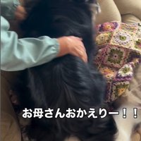 マリちゃんの熱烈歓迎3