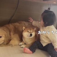 おからちゃんもね♡