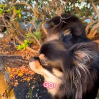 まる君とお姉ちゃんの再会5