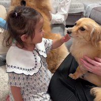 「可愛い！」