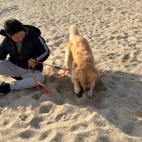 海辺でのハプニング9