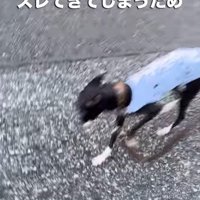 もう少しだけ改良が必要