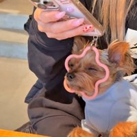 リングにお顔を突っ込んでウトウト…