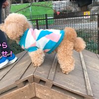 「助けて！早く下ろしてよ！」