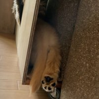 隙間にすっぽり！