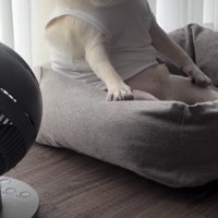 クッションに腰掛ける犬の足