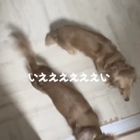 いつも前向き！！