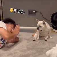 謝る飼い主