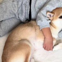 これからも仲良く過ごしてね