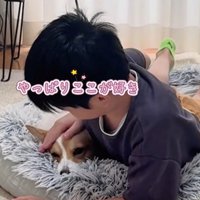 宿題中の男の子とココちゃん9