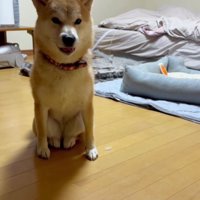 猫みたいな座り方…♡