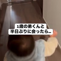 歩き出す弟くん