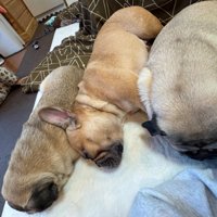 仲良くお昼寝中♡